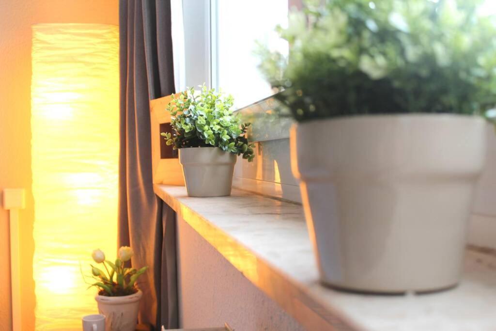 Bella Apartment *